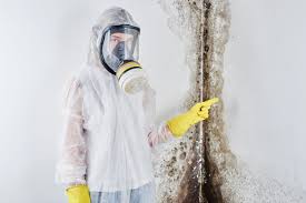 Asbestos and Lead Testing During Mold Inspection in Dunes City, OR